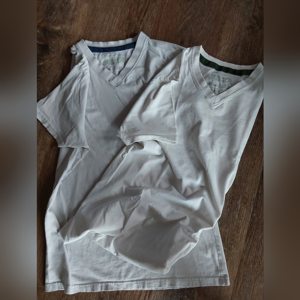 CHARLES WILSON V-NECK PAIR T-SHIRTS M